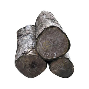 ราคาพิเศษ ไม้สักแอฟริกัน ไม้ตัดสด จำหน่ายจำนวนมาก ส่งออกต่างประเทศ - Product Image 3