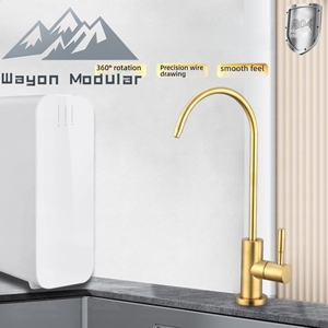 <span class=keywords><strong>Grifo</strong></span> de Agua Potable de Acero Inoxidable Dorado Cepillado Moderno Wayon para Sistema de Ósmosis Inversa de Cocina - Product Image 3