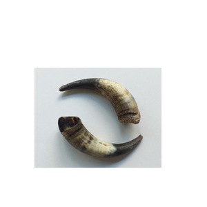 Par de Cuernos de Búfalo Pulidos para Decoración de Pared, Diseño Art Deco, Grandes de 10 a 18 Pulgadas, para Bodas, Cumpleaños, Aniversarios - Product Image 3