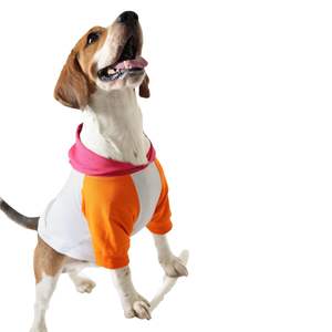 Sudadera Ecológica para Perro, 100% Algodón, Diseño Clásico Teddy, Talla XL, Lavable a Mano, Decorativa con Bolsillo, para Invierno - Product Image 1