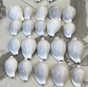 Conchas de Cauri Blancas Naturales Pulimentadas al por Mayor para Fabricación de Joyería y Decoración DIY - Product Image 6