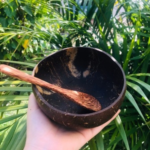 ชามเปลือกมะพร้าวสุดฮิต เป็นมิตรกับสิ่งแวดล้อม เหมาะสำหรับรับประทานอาหารและใช้ในบ้าน - Product Image 2