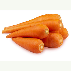 New Red Fresh Juicy and <b>Sweet</b> Carrots on <b>cheap</b> wholesale - Product Image 5