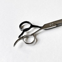 Ciseaux de coiffure professionnels 6,5 pouces, aiguisés, à effiler, courbés, en acier inoxydable japonais plaqué titane, pour droitiers