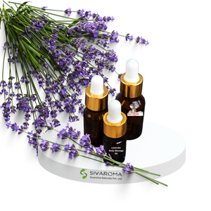 Lavender Fragrance Body Massage Oil for and Smooth Skin Feel Bulk Wholesale Product massage oil manufacturer - Product Image 1