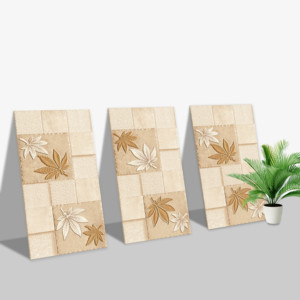 Carreaux muraux Premium Choice de qualité supérieure, carreaux d'élévation Asia Tiles 300x600mm pour articles de santé. - Product Image 1