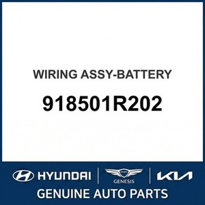 Nouvelles batteries Accent 918501R202 - Product Image 1