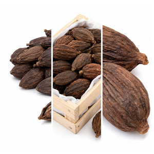 Best Selling Low Price International Standard Vietnam Manufacturer Supply Black Cardamom Bulk Supply - Product Image 6