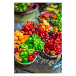 Piment Habanero Frais de Ferme de Haute Qualité, Emballage en Vrac, Fournisseur, Exportateur de Piments Très Piquants pour les Marchés Mondiaux - Product Image 2