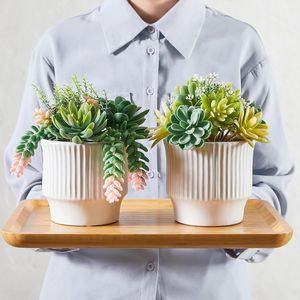 Vasi in Ceramica Bianca per Arredamento Casa, Piante Succulente Artificiali Assortite, Piante Finte per Camera da Letto e Scrivania Ufficio - Product Image 4