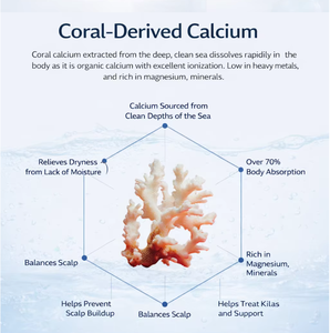 Shampoo réparateur pour cheveux coréen, anti-chute, nettoyant pour le cuir chevelu, contrôle du sébum, hydratant, formule de croissance des cheveux à la biotine et au calcium corallien - Product Image 3