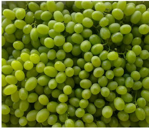 Uvas Verdes Orgánicas Liofilizadas, Crujientes y Ácidas, para Smoothies, Hechas con Uvas Enteras Reales, Empaque a Granel - Product Image 1