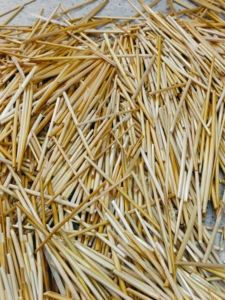 Wheat <b>Straw</b> <b>Disposable</b> <b>Straws</b> Natural Color Classic Style 50 Pcx Pack Biodegradable Eco-Friendly Plastic-Free Sustainable Party - Product Image 4