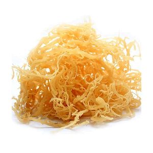 Mousse de mer séchée de haute qualité pour l'extraction industrielle pratique du carraghénane et les ensembles d'épaississants pour émulsions cosmétiques - Product Image 1
