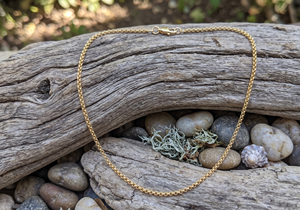 DIVYORO Cadena de eslabones chapada en oro de 22 quilates, minimalista y clásica para mujer - Product Image 4