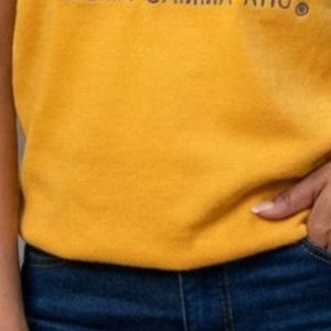 Pull en maille élégant brodé à col en V pour femme, style décontracté, manches longues, idéal pour les tenues de sororité - Product Image 6