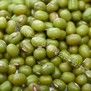 <span class=keywords><strong>Haricots</strong></span> Mungo Séchés de Qualité Supérieure, Fourniture Directe Usine, <span class=keywords><strong>Haricots</strong></span> <span class=keywords><strong>Verts</strong></span> <span class=keywords><strong>Frais</strong></span> Naturels, <span class=keywords><strong>Haricots</strong></span> Mungo Entiers et Rondins pour la Vente en Gros - Product Image 5
