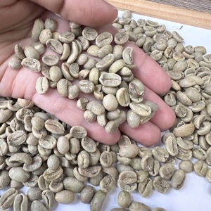 Grains de café vert Arabica du Vietnam SCR13 SCR16 SCR18 Entièrement lavés Qualité Premium Exportation Vente en gros pour Torréfacteurs Importateurs ANNA - Product Image 2