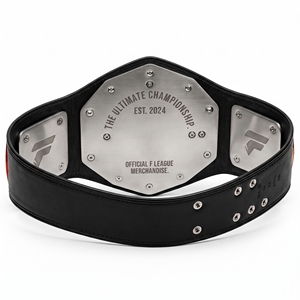 Diseño profesional de premios para cinturón de campeonato de boxeo, trofeo de campeonato de lucha libre premium, placas metálicas duraderas - Product Image 2