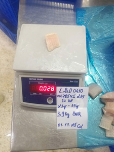 Pangasius Congelado en Cubos IQF, Filete en Trozos de 23g-35g, Suministro a Granel 20-40mm de Vietnam para Fabricantes VH Food - Product Image 5