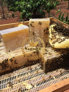 เค้กรังผึ้ง Takimex ทำฟาร์มกินกับขี้ผึ้งน้ำผึ้งขนมหวาน100% ธรรมชาติไม่มีน้ำตาลเพิ่มความอร่อยรัฐสำหรับแยมขนมปัง - Product Image 2