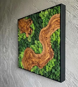 Décoration Murale en Mousse Naturelle Faite à la Main avec Cadre en Bois – Idéale pour Bureau et Salon - Product Image 5