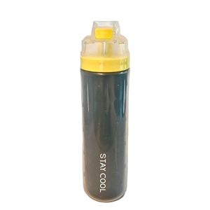 Bouteille de sport en PP sans BPA, double paroi isolée, type paille à presser, couvercle à bouton poussoir, écologique, légère, 650 ml - Product Image 3