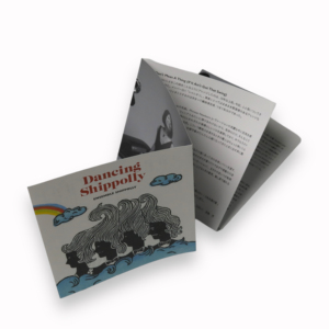 Caja de Empaque Personalizada para CD con 10 Paneles y Funda de Tela No Tejida - Product Image 2