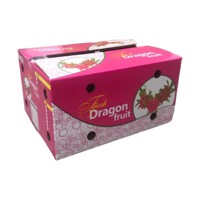 ANT FARM OEM Model 3 Vouwbare Golfkarton Industrieel Gebruik Offsetdruk Rechthoekige Vorm Dragon Fruit Opslag Gerecycled
