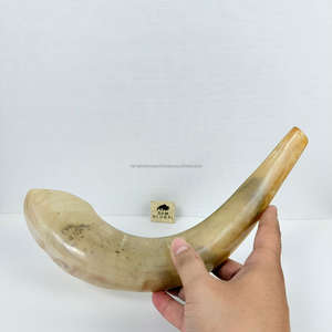 ชอฟาร์เยเมนีทำมือจำนวนมาก ทำจากเขาสัตว์ธรรมชาติ สำหรับเป่าในวันรอชฮาชานะ โคเชอร์ กูดู ราม  เป็นมิตรกับสิ่งแวดล้อม ขัดเงาด้วยเทคนิคพิเศษ - Product Image 2