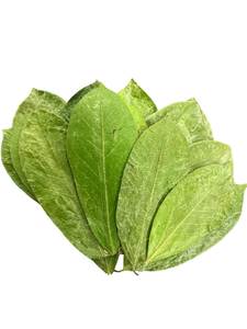 Viral Herbal Soursop Beverage Rich Aroma with Smooth Natural Detox Flavor Experience - Product Image 1