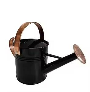 Arrosoir en métal peint vert, en acier inoxydable, à long bec, outil d'arrosage de jardin pour l'entretien des plantes d'intérieur et d'extérieur - Product Image 6