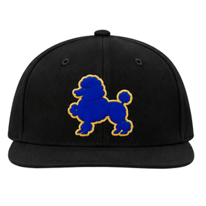 Gorra de Béisbol Bordada Personalizada para Mujer, con el Logo de la Hermandad Griega Sigma Gamma Rho, Ajustable, de Visera Plana, Estilo Casual - Product Image 1