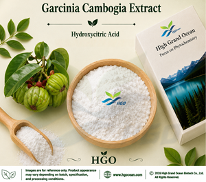 Suministro directo de fábrica HGO de extracto de Garcinia Cambogia natural puro (grado alimenticio) ácido hidroxicítrico 60% (extracto estandarizado) - Product Image 1
