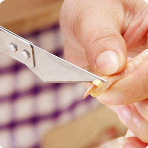 Pinzas Profesionales para Monedas al por Mayor, Pinzas de Acero Inoxidable para Uso Dental, Quirúrgico y Médico, Herramientas Reutilizables para el Cuidado de la Salud - Product Image 5