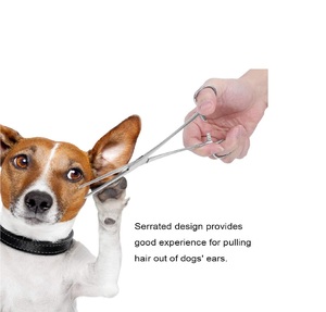 Pinzas de Acero Inoxidable Maclura para Limpiar Oídos de Perros y Gatos, con Puntas Rectas y Curvas, Herramienta Hemostática para el Cuidado de Mascotas - Product Image 6