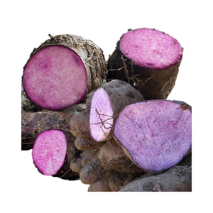 Natural Frozen Purple Yam For Bubble Tea Taro Style Dessert And Beverage Industry - Product Image 4