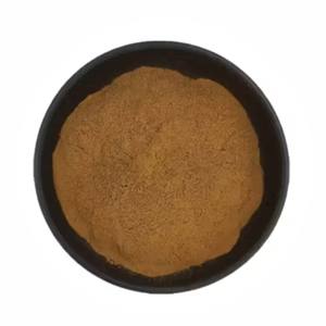 OEM Pure Natural Horsetail Extract Powder <b>for</b> Hair & Skin Care Premium Quality Equisetum Arvense Powder <b>for</b> Herbal Formulations - Product Image 1