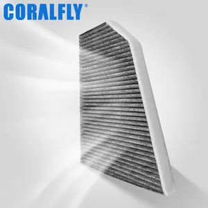 High Quality Auto Parts Activated Carbon Cabin Air Filter 103904200A 1039042-00-A For Model X