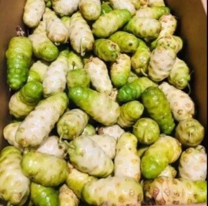 Jugo de Noni Vietnamita Puro de Exportación - 100% Fruta Fresca Real Sin Químicos Para el Desayuno - Product Image 4