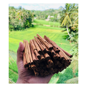 อบเชยแท่ง เครื่องเทศธรรมชาติสำหรับทำอาหารและอบขนม 100% ออร์แกนิค กลิ่นหอมเข้มข้น รสชาติเยี่ยม เวียดนาม 99 โกลด์ ดาต้า คาตาเรีย - Product Image 4