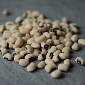 Haricots noirs de la meilleure qualité - Product Image 2