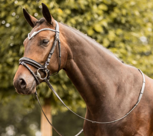 Bridon de cheval réglable en cuir durable avec rênes respirantes, équipement équestre noir, fabriqué en usine pour chevaux Cob - Product Image 4