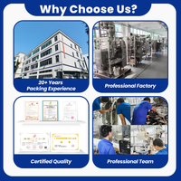 Machine d'emballage verticale pour sachet de liquides épais,crème salade,mayonnaise,sauce fromage,pâte d’ail,scellage 4côtés 10g