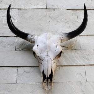 Cráneo de Vaca Longhorn para Colgar en la Pared, Esqueleto Tallado en Cuerno, Estilo Animal y Náutico, Decoración para el Hogar en Blanco y Negro, Regalo Creativo de Halloween - Product Image 6