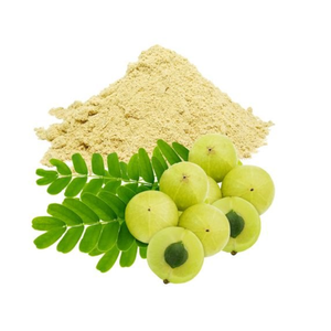 Amla Powder for Food Industry Amla Powder for Daily Nutrition Amla Powder for Functional Foods Amla Powder for Wellness Products - Product Image 3