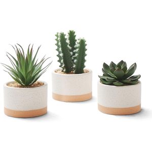 Piante Succulente Finte Assortite in Vasi di Ceramica, Cactus Artificiali per Arredamento Casa, Camera da Letto, Ufficio, Scrivania, Collezione di Piante Artificiali - Product Image 1
