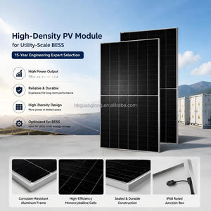 Panneaux solaires photovoltaïques personnalisés de haute qualité, neufs, 23,8 % PET givré, avec bord souple, pour l'énergie solaire domestique - Product Image 2