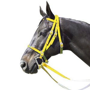 Bridon de cheval en PVC de style occidental, vente en gros, imperméable, personnalisé, OEM, coloré, durable, pour l'équitation - Product Image 2