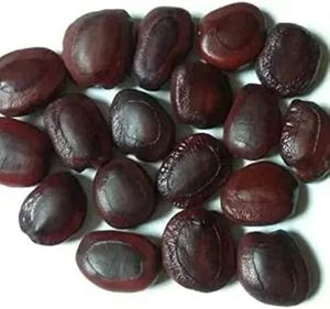 Dried Tamarind Seeds 250 gram pack Raw <b>Herbal</b> Extract Seeds for Health Food Plant Based <b>Supplement</b> Ingredient pack of 250 gram - Product Image 1